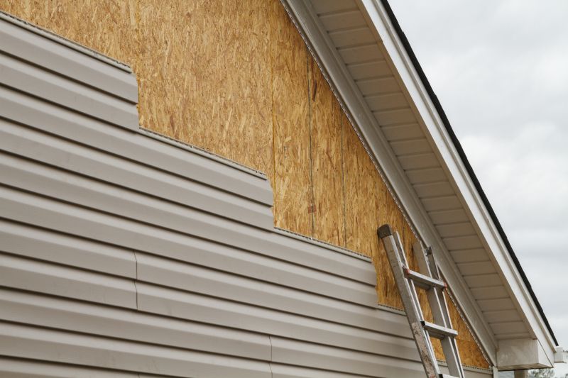 Professional Vinyl Siding Installer